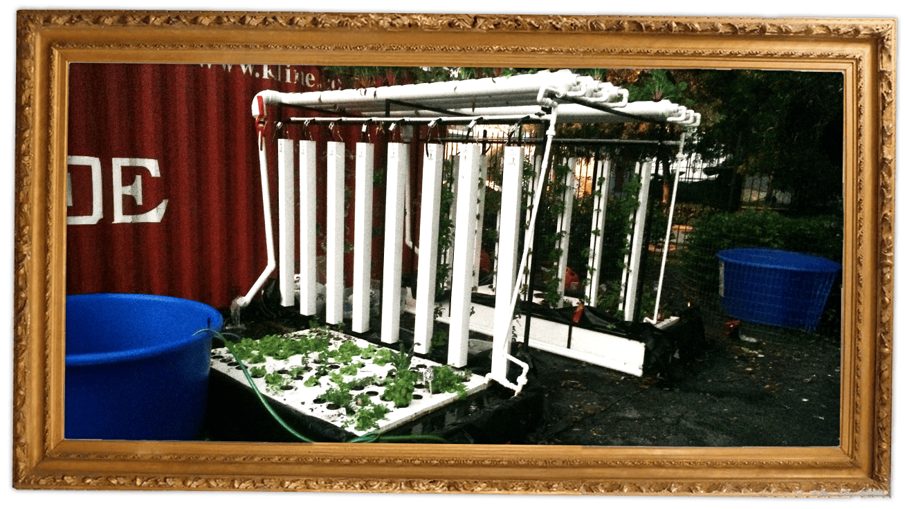 Aquaponics - Framed